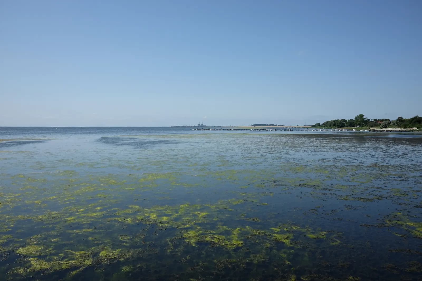 Stranden vid Bjärred